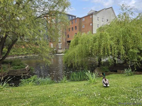 Additional Property Image 2 bedroom Apartment for sale in Canterbury 17