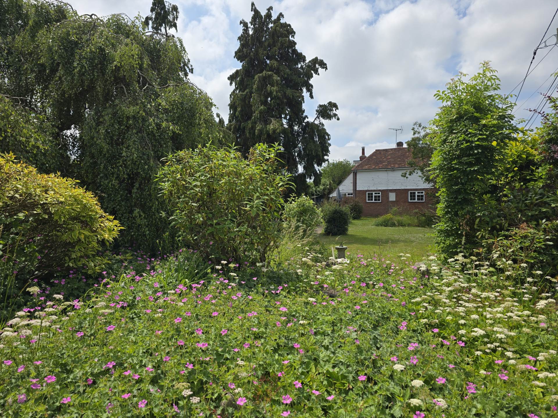 Additional Property Image 3 bedroom Semi Detached for sale in Canterbury 4