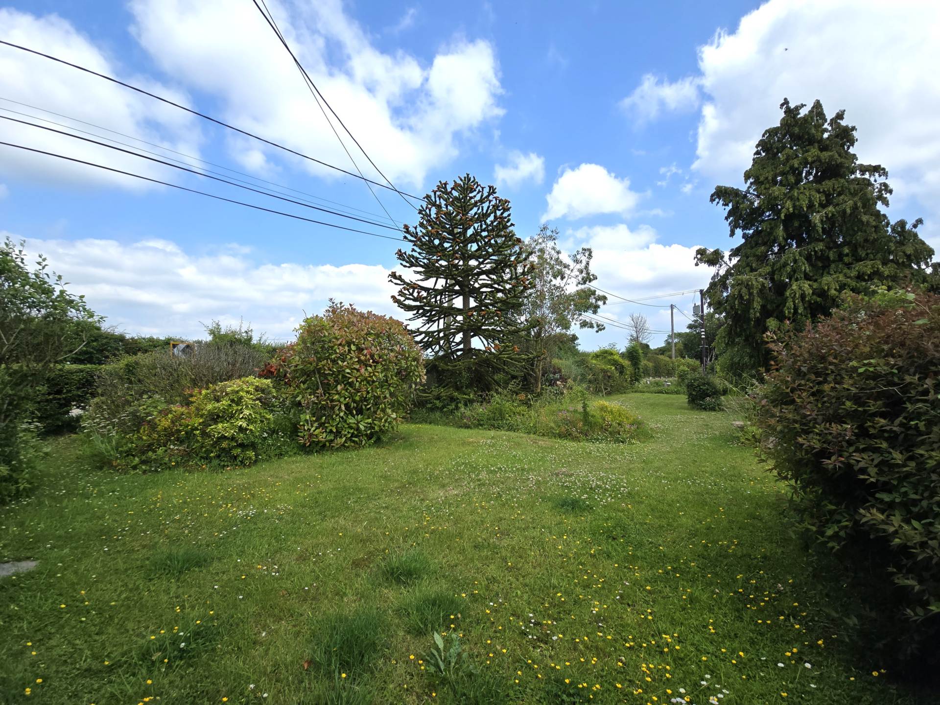 Additional Property Image 3 bedroom Semi Detached for sale in Canterbury 15