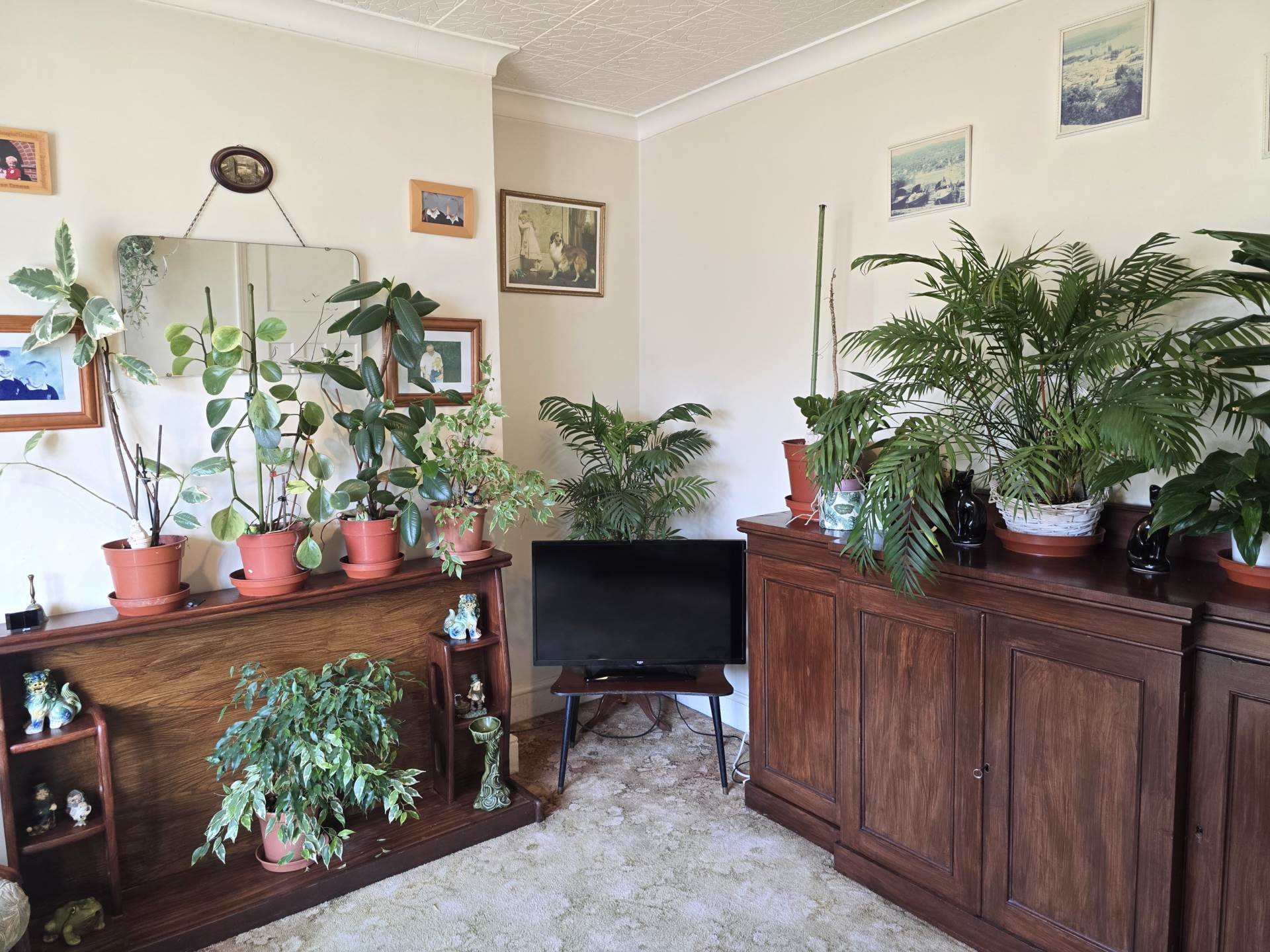 Additional Property Image 3 bedroom Semi Detached for sale in Canterbury 5