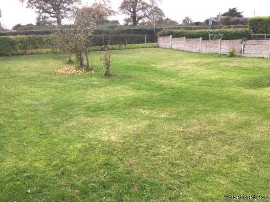 Additional Property Image 3 bedroom Semi Detached to rent in Holywell 2
