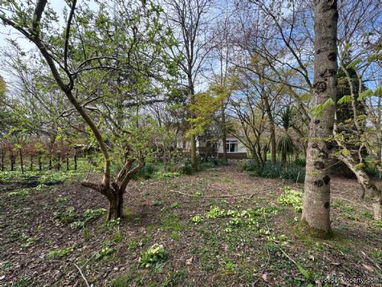 Additional Property Image 3 bedroom Detached Bungalow for sale in Taunton 13