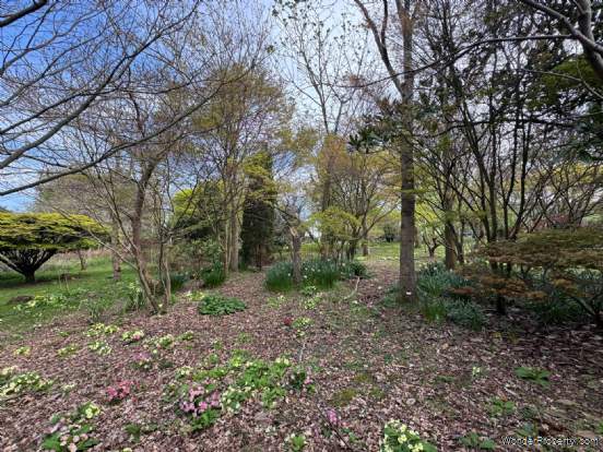 Additional Property Image 3 bedroom Detached Bungalow for sale in Taunton 14