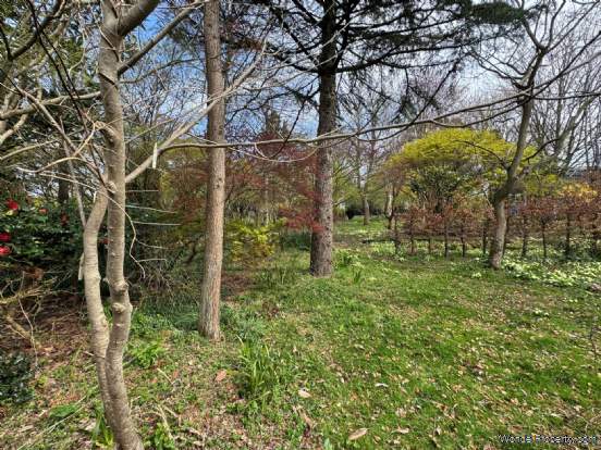 Additional Property Image 3 bedroom Detached Bungalow for sale in Taunton 8