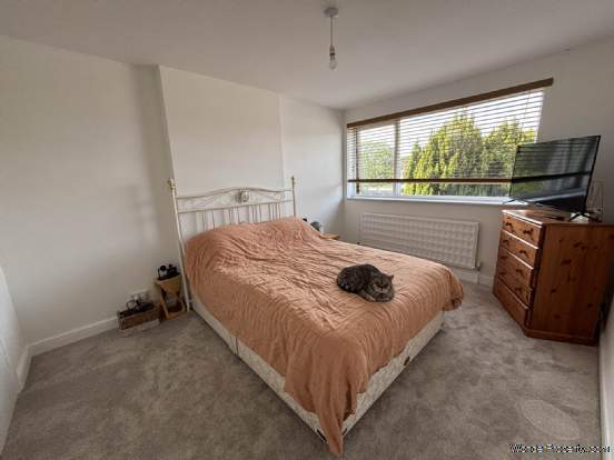 Additional Property Image 3 bedroom Detached for sale in Bournemouth 8