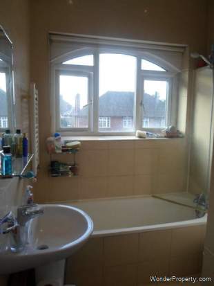 Additional Property Image 0 bedroom Studio to rent in London 6