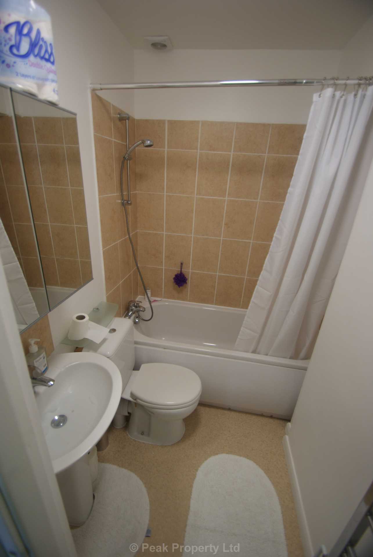 Additional Property Image 1 bedroom Flat to rent in Westcliff On Sea 4