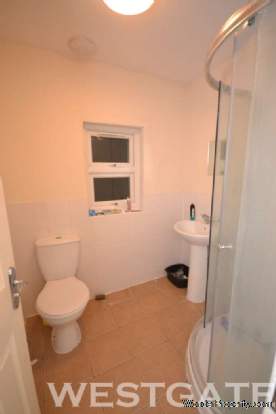 Additional Property Image 7 bedroom Terraced to rent in Reading 9