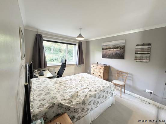Additional Property Image 3 bedroom Detached Bungalow for sale in Rawridge 8
