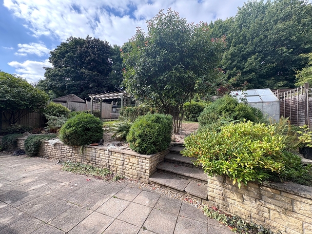 Additional Property Image 3 bedroom Detached Bungalow for sale in Honiton 10