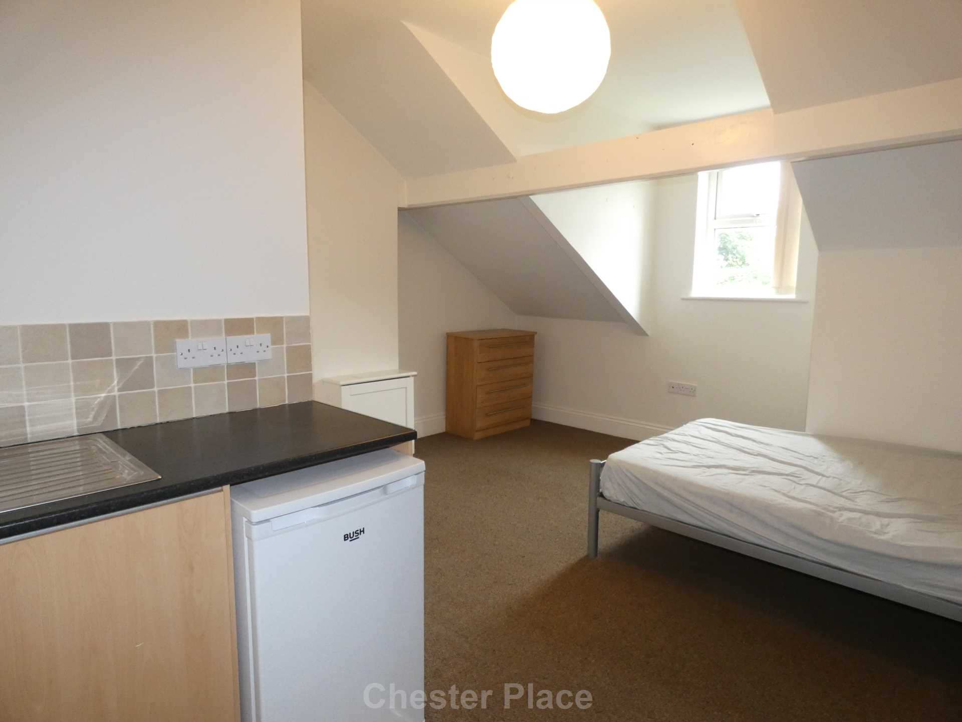 Additional Property Image 1 bedroom Studio to rent in Chester 4