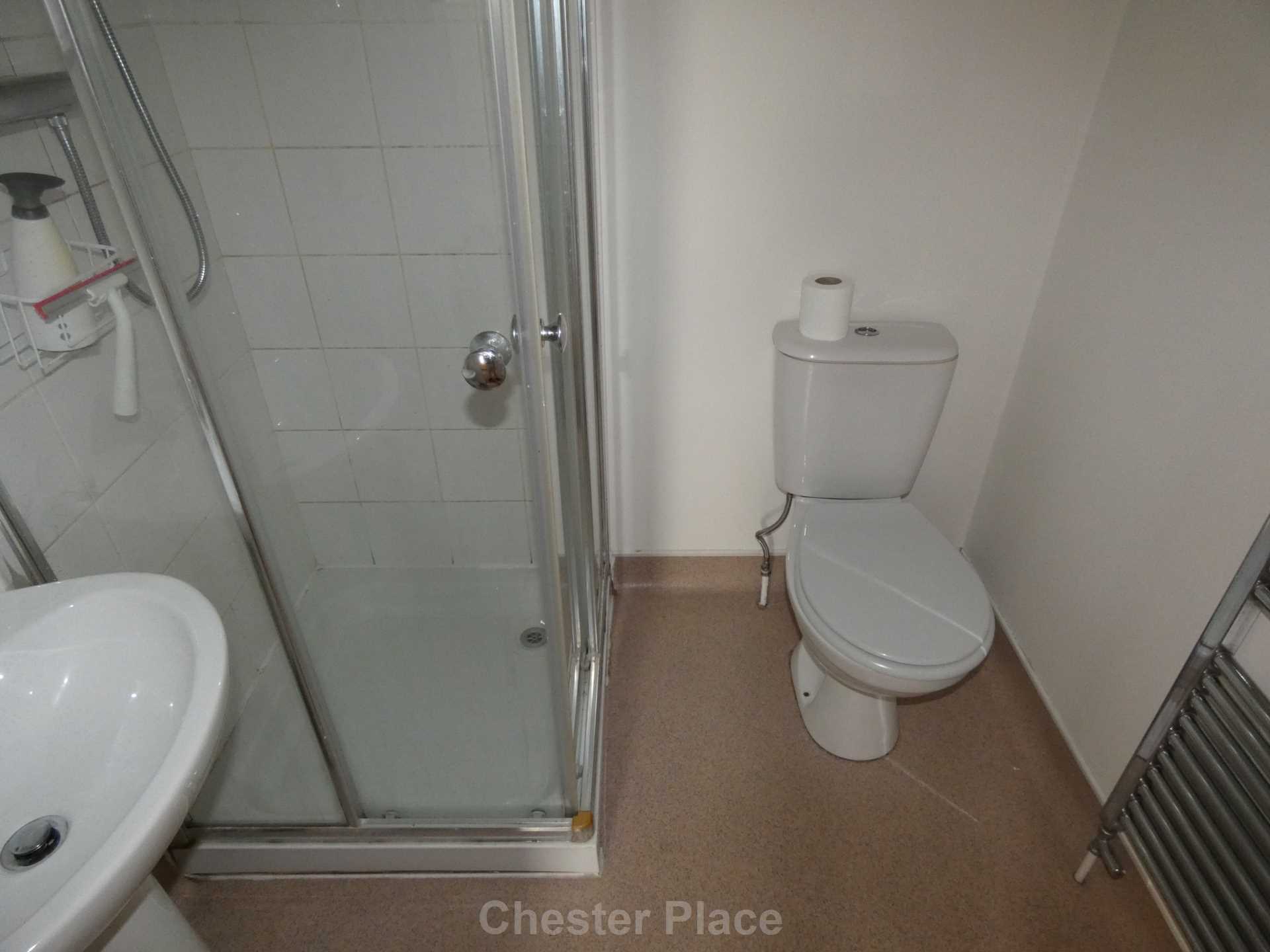 Additional Property Image 1 bedroom Studio to rent in Chester 6