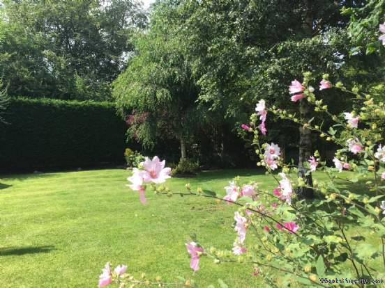 Additional Property Image 5 bedroom Detached for sale in Manchester 3