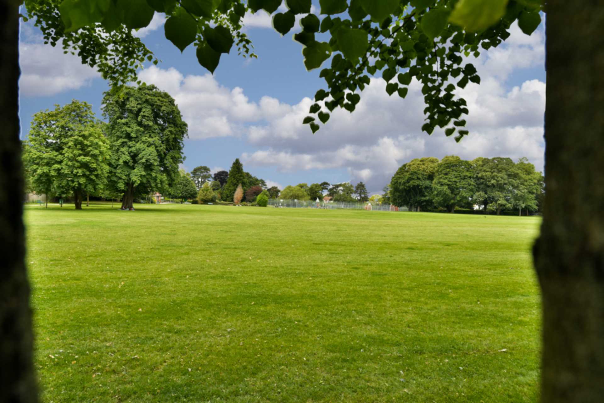 Additional Property Image 1 bedroom Flat to rent in Epsom 15