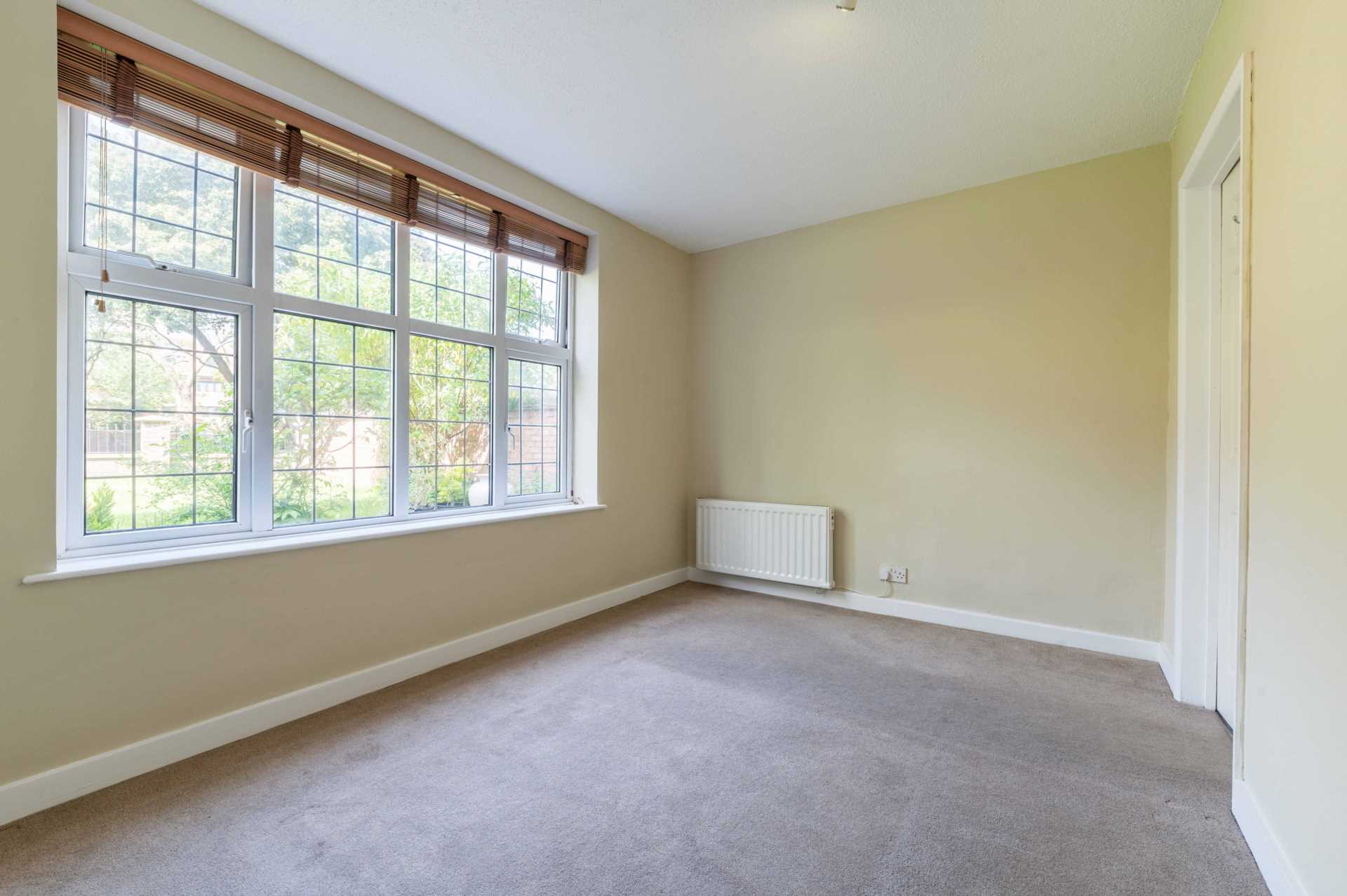 Additional Property Image 1 bedroom Apartment to rent in Epsom 4