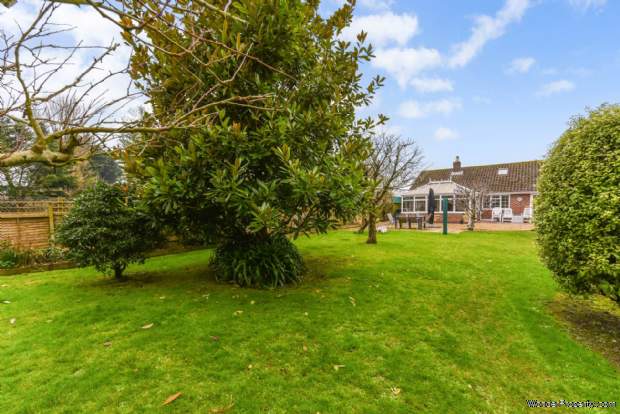 Additional Property Image 3 bedroom Detached Bungalow for sale in Chichester 7