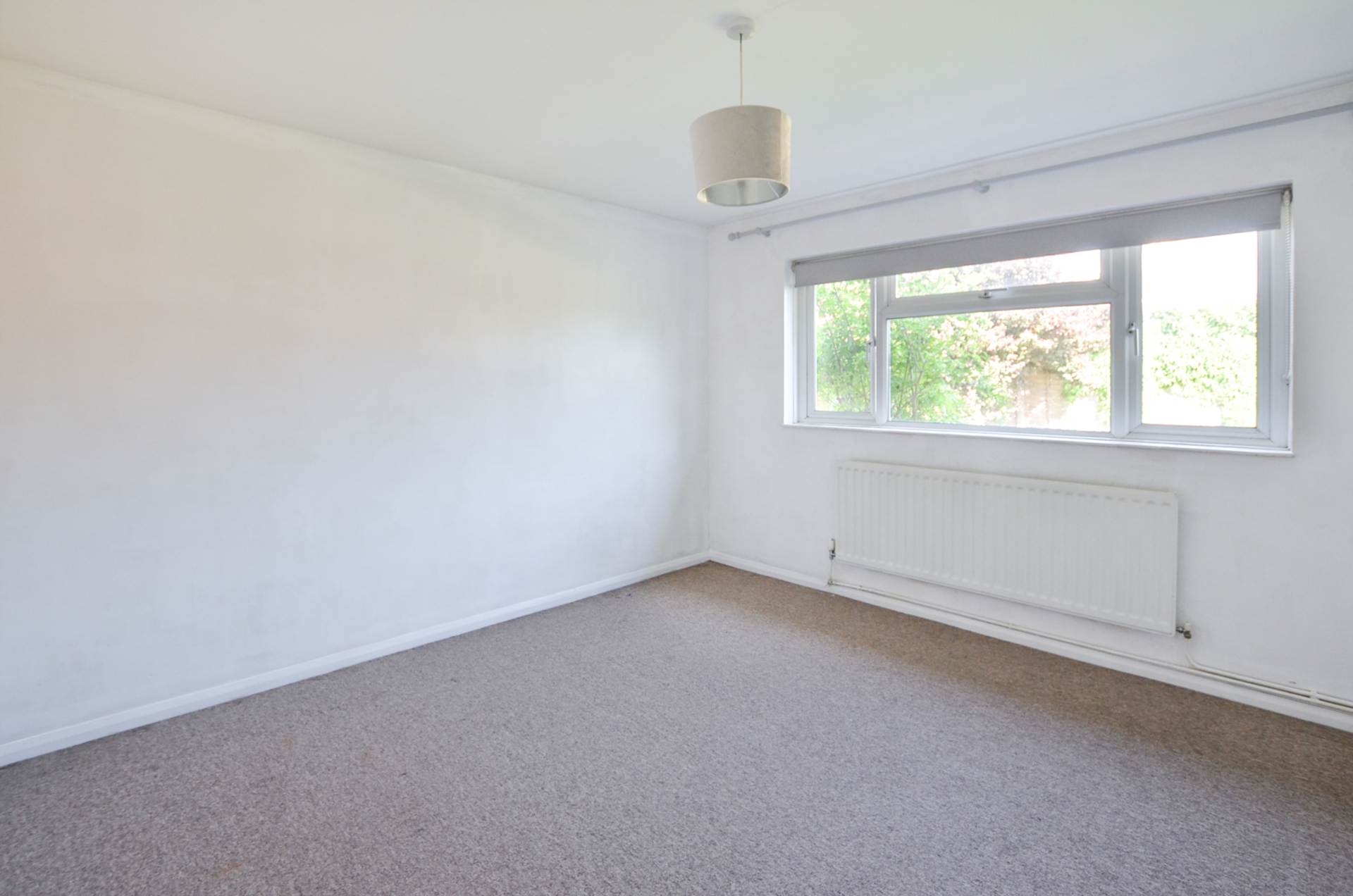 Additional Property Image 3 bedroom Detached Bungalow for sale in Chichester 8