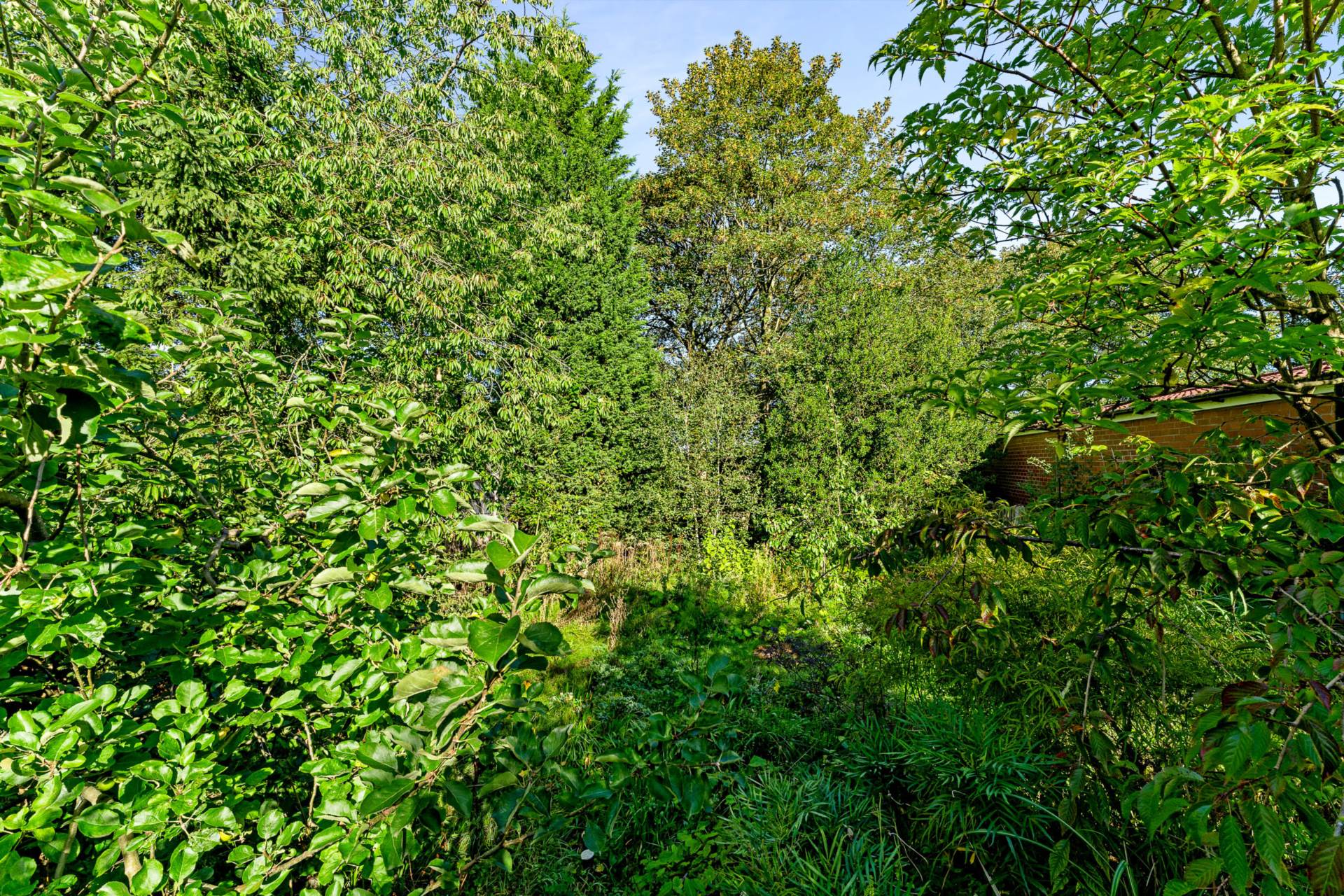 Additional Property Image 7 bedroom Detached for sale in Manchester 33