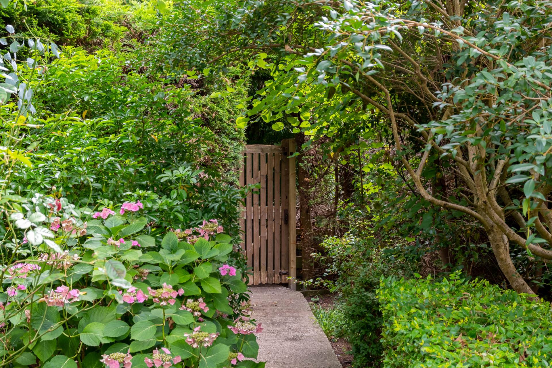Additional Property Image 6 bedroom Detached to rent in Bath 42