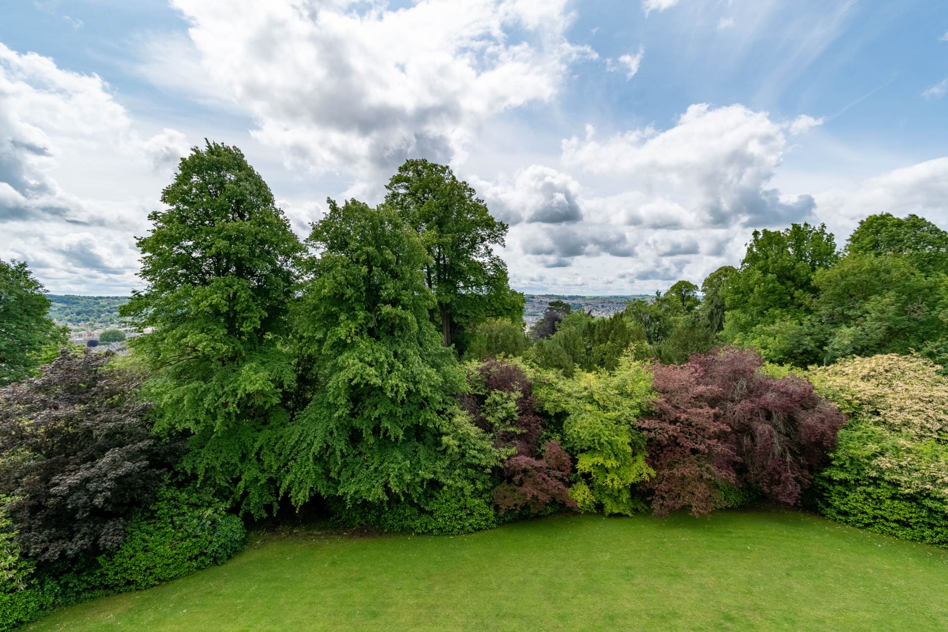 Additional Property Image 3 bedroom Apartment to rent in Bath 23