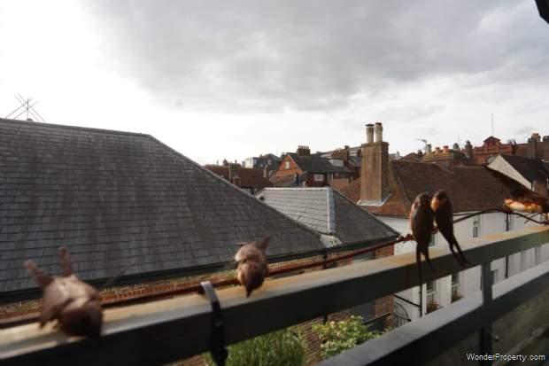 Additional Property Image 2 bedroom Town House for sale in Lewes 11