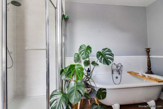 Additional Property Image 2 bedroom Terraced for sale in Lewes 15