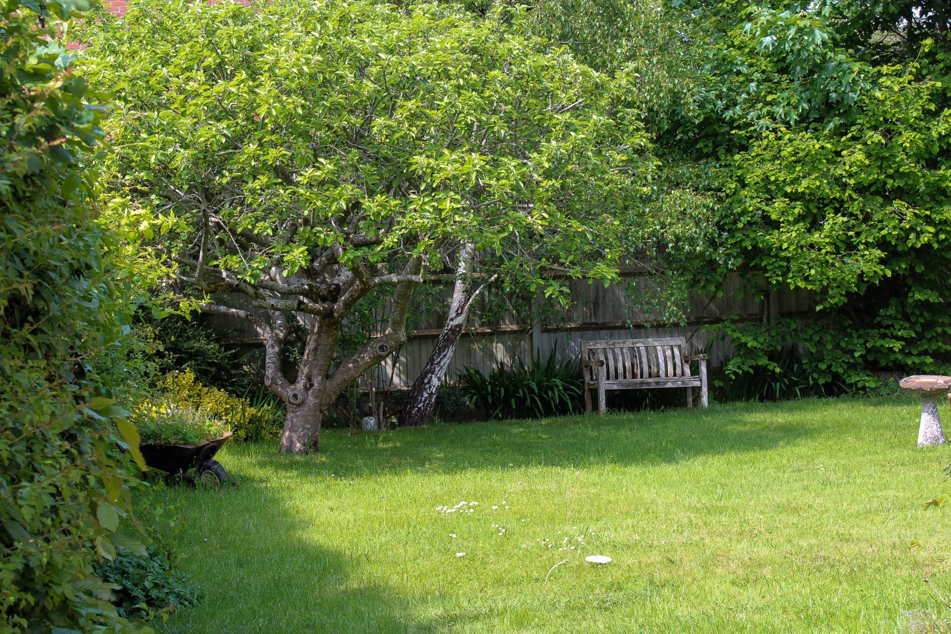 Additional Property Image 4 bedroom Detached for sale in Lewes 32