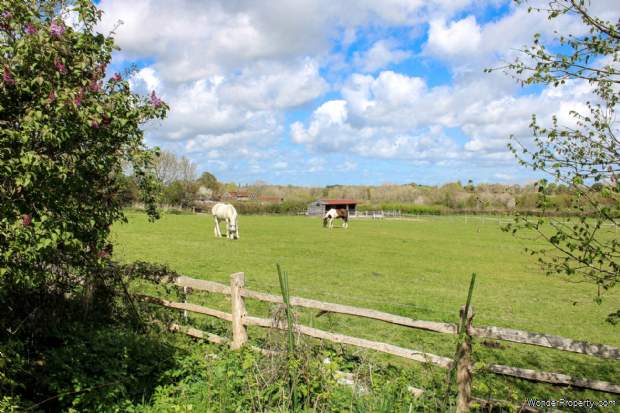Additional Property Image 3 bedroom Detached for sale in Lewes 14