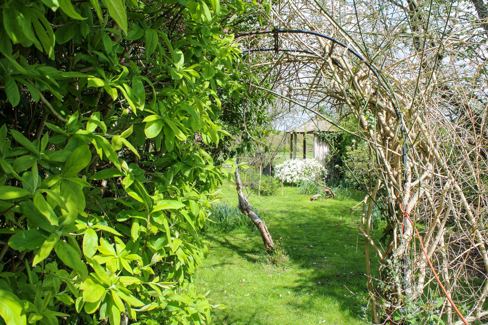 Additional Property Image 3 bedroom Detached for sale in Lewes 21