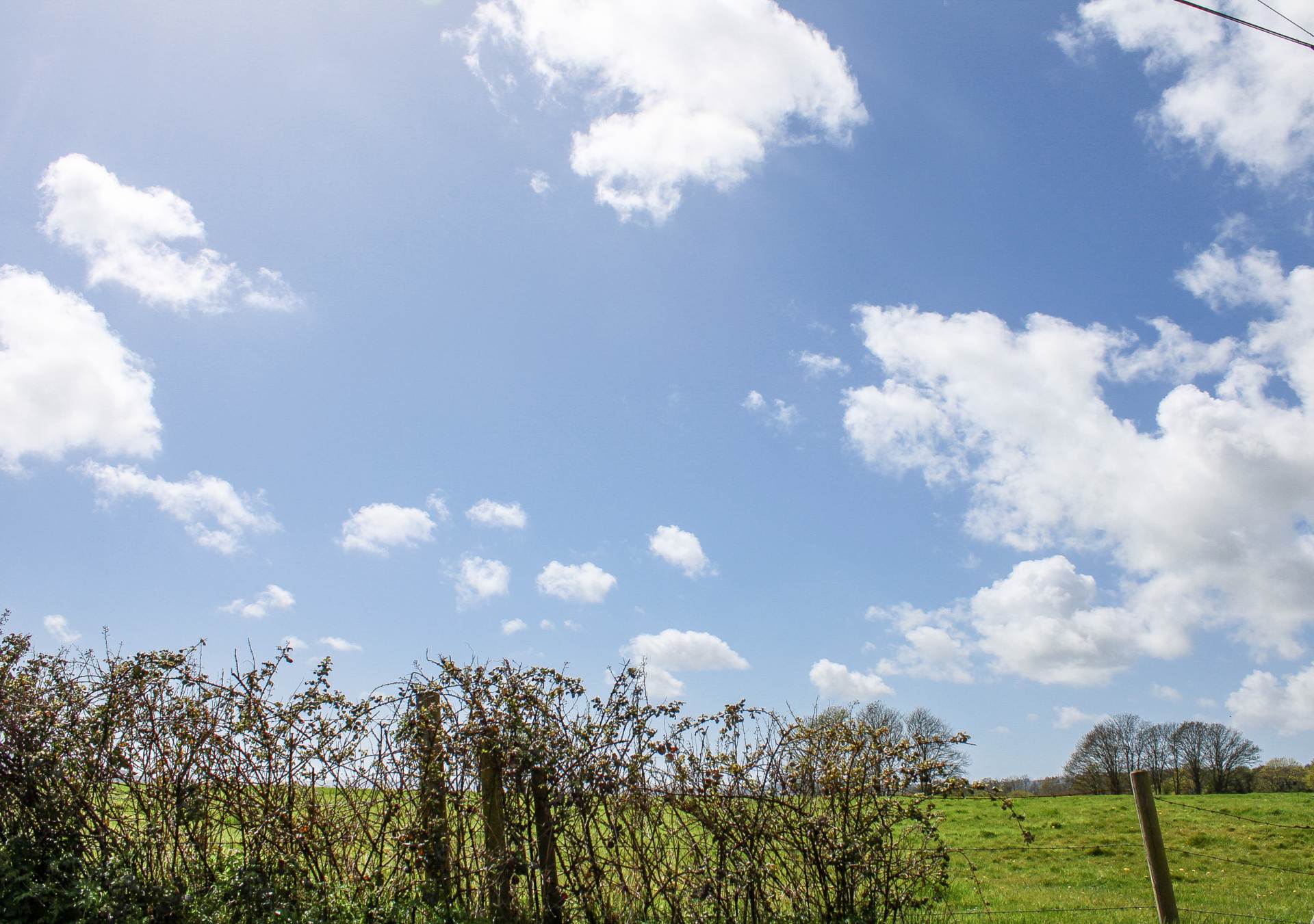 Additional Property Image 3 bedroom Detached for sale in Lewes 24