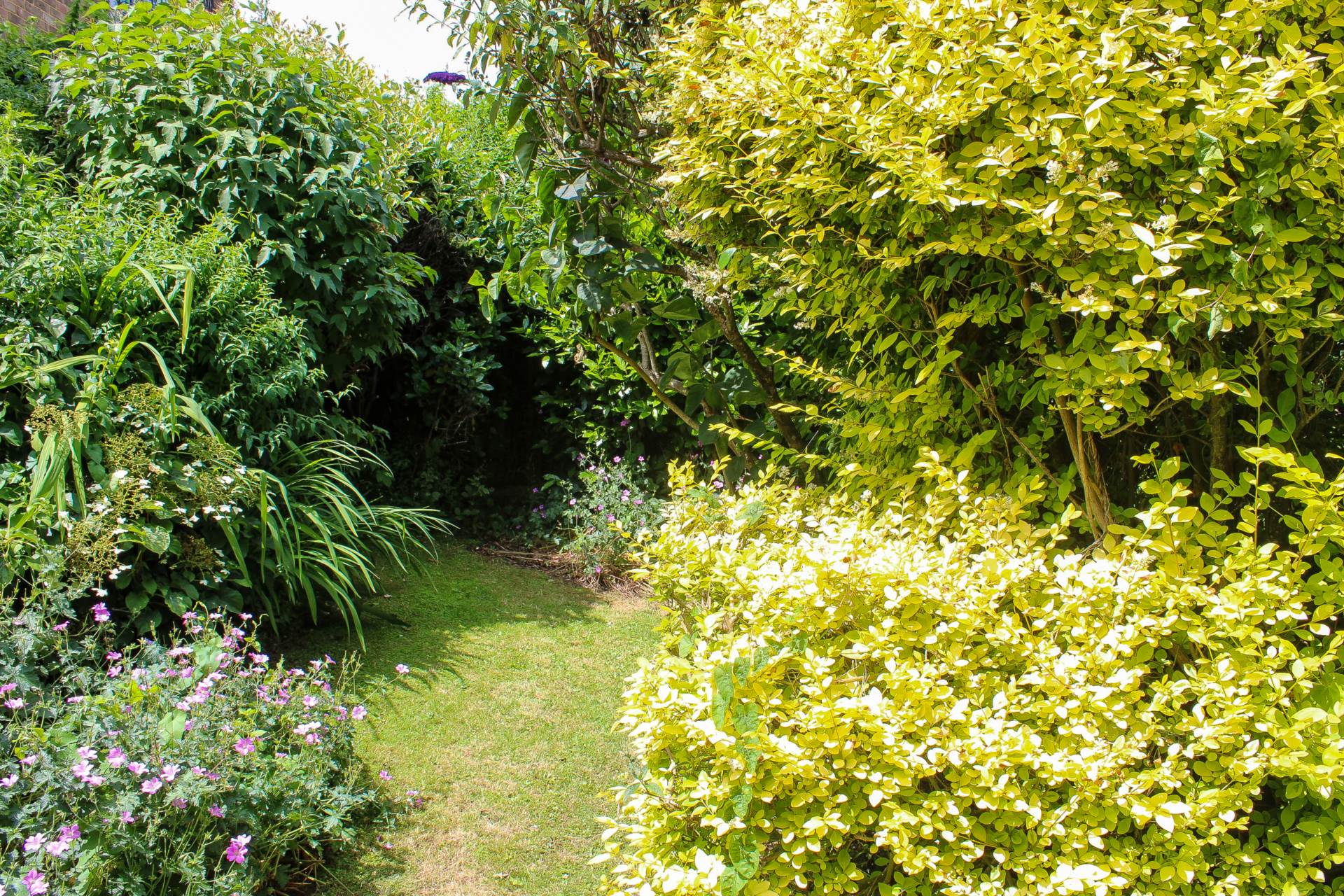 Additional Property Image 4 bedroom Semi Detached for sale in Lewes 16