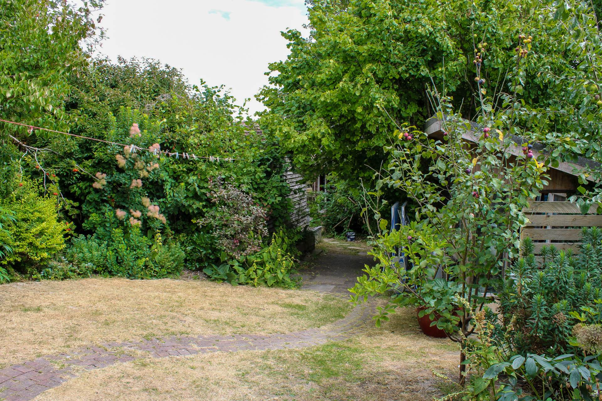 Additional Property Image 3 bedroom Semi Detached for sale in Lewes 19