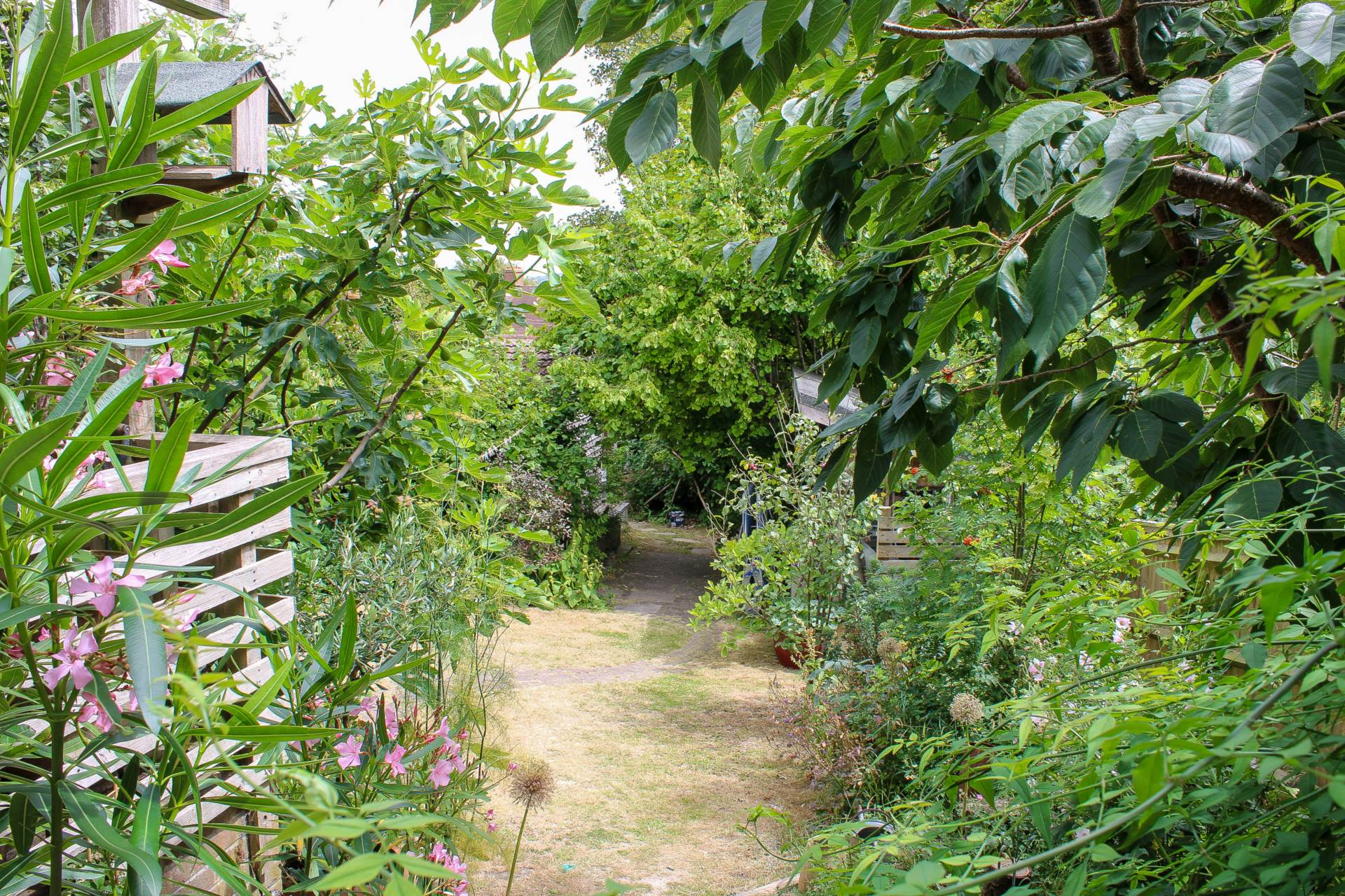 Additional Property Image 3 bedroom Semi Detached for sale in Lewes 21