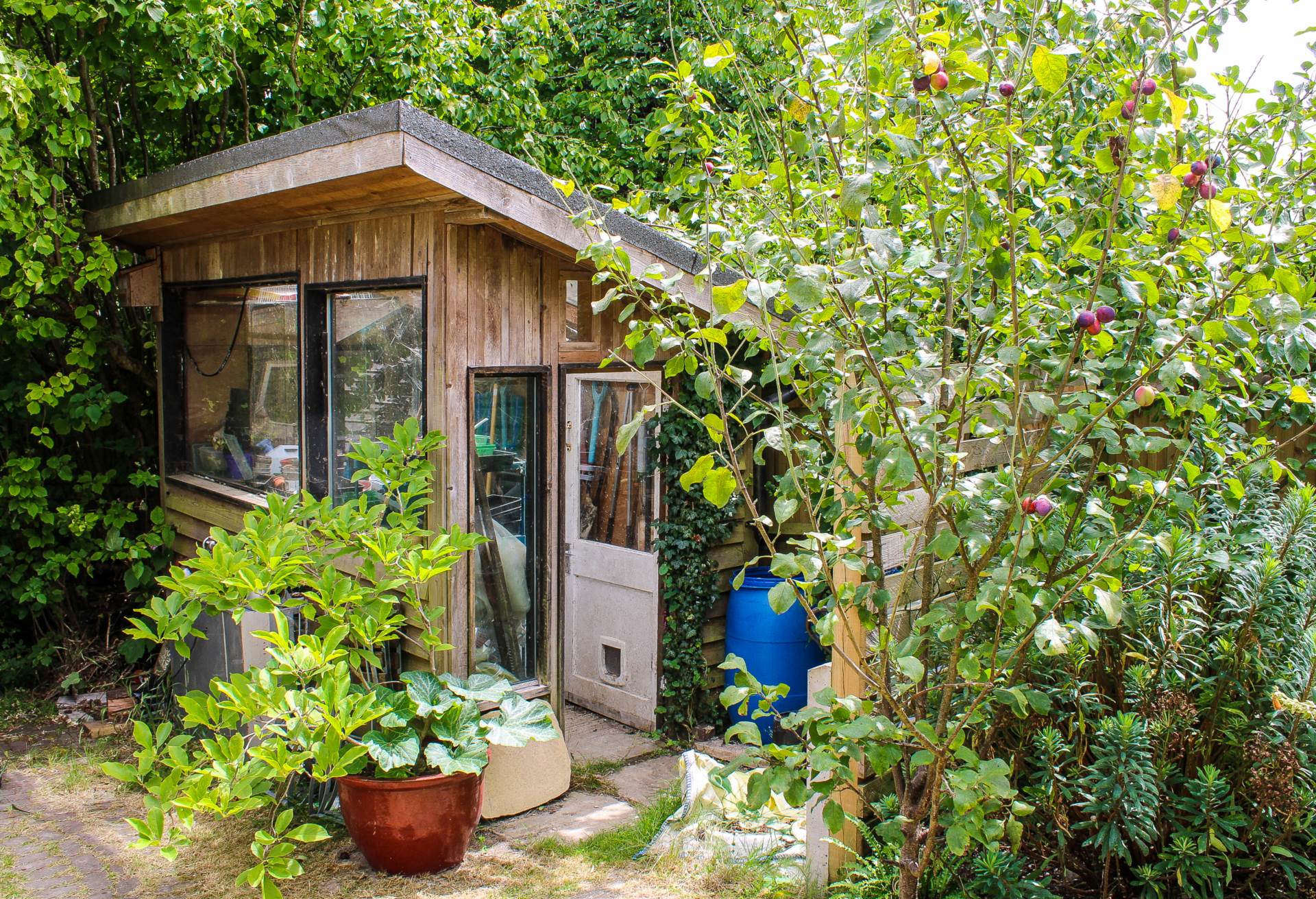 Additional Property Image 3 bedroom Semi Detached for sale in Lewes 24