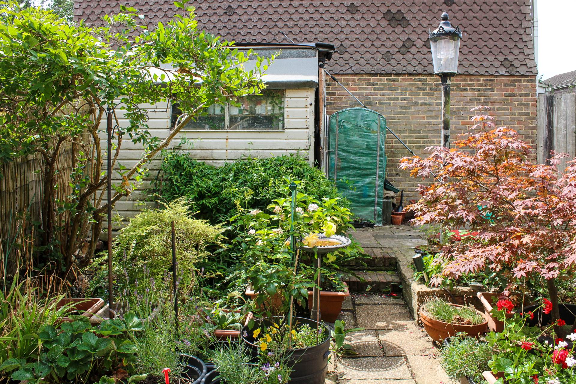 Additional Property Image 5 bedroom End of Terrace for sale in Lewes 20