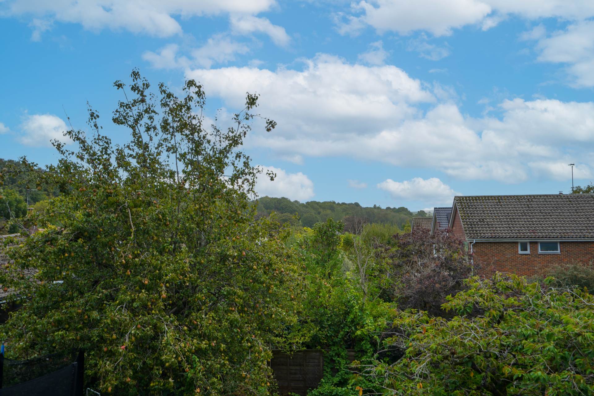 Additional Property Image 4 bedroom Detached for sale in Lewes 13