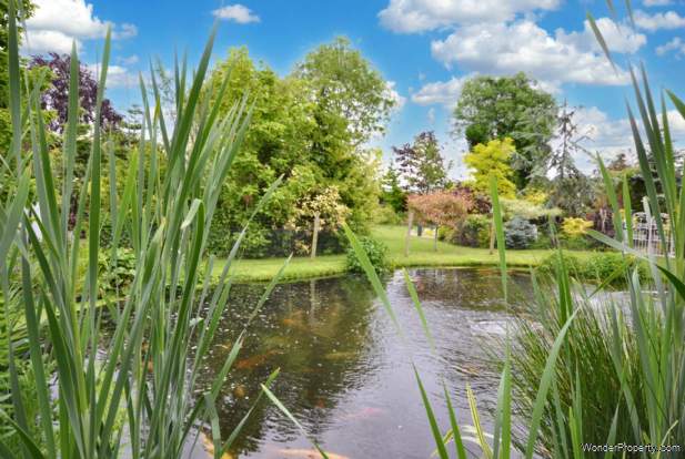 Additional Property Image 3 bedroom Detached for sale in Gloucester 2