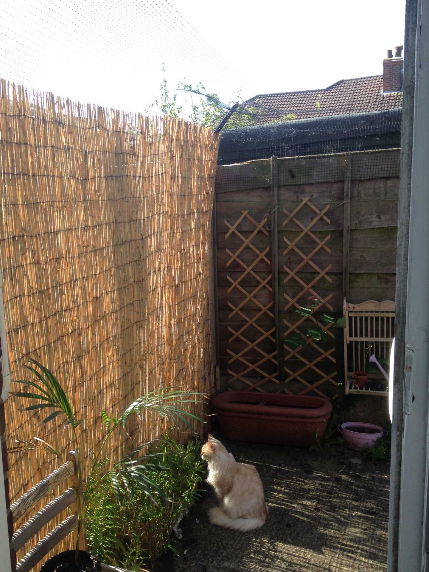 Additional Property Image 3 bedroom Semi Detached to rent in Manchester 7