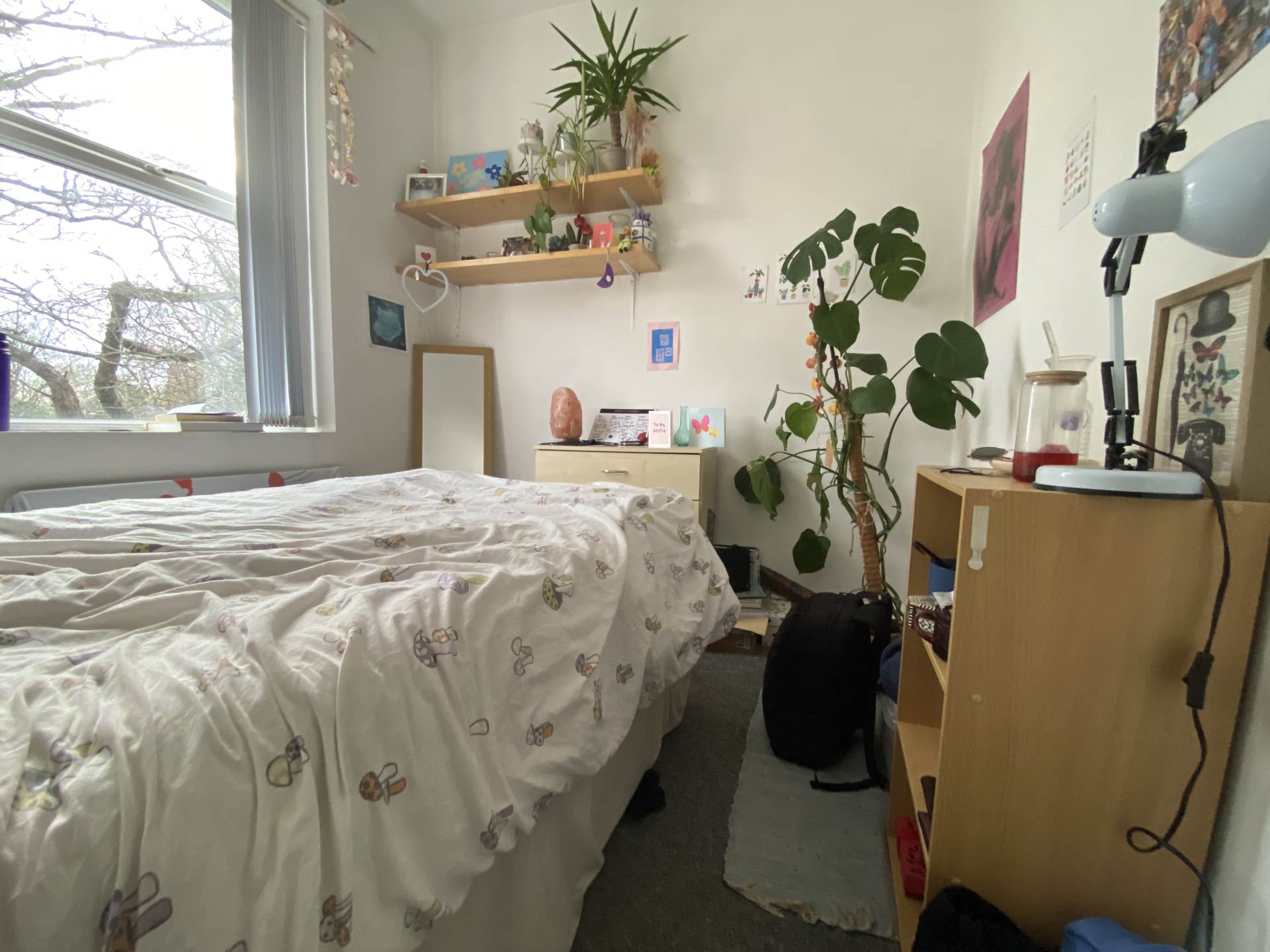 Additional Property Image 4 bedroom Terraced to rent in Manchester 6