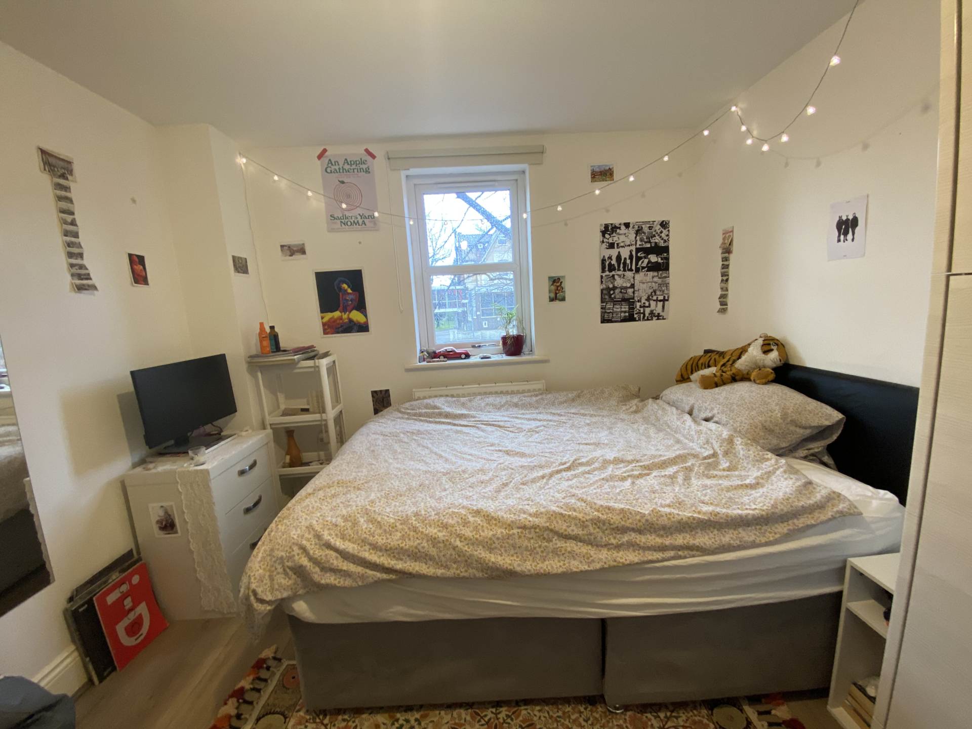 Additional Property Image 7 bedroom Flat to rent in Manchester 15