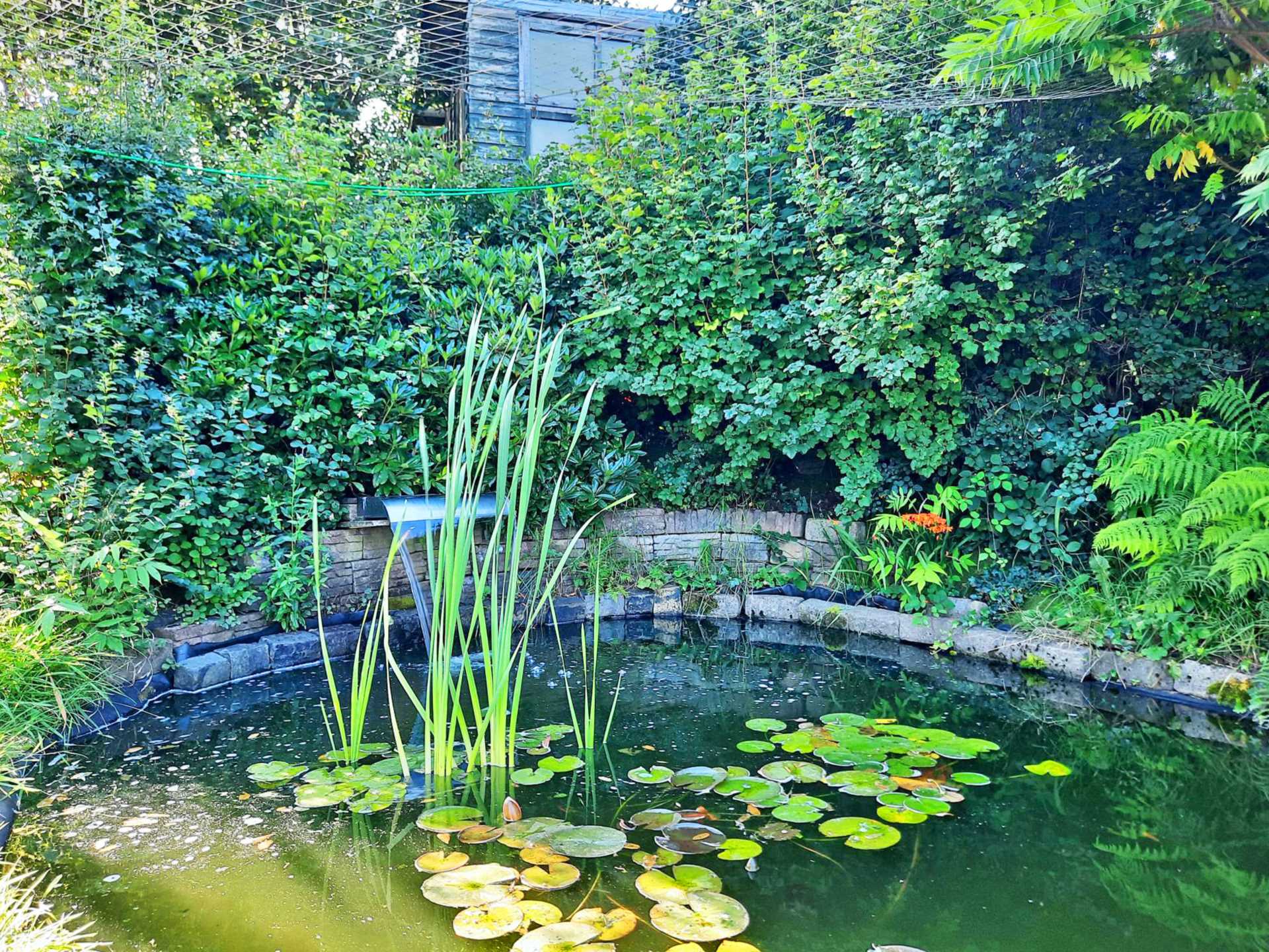 Additional Property Image 4 bedroom Detached for sale in Oldham 35