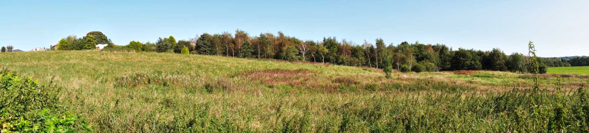 Additional Property Image 4 bedroom Detached for sale in Oldham 49