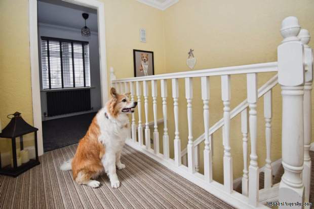 Additional Property Image 4 bedroom Detached for sale in Prenton 9