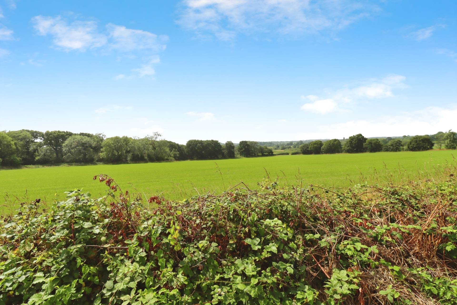 Additional Property Image 3 bedroom Semi Detached for sale in Wirral 24
