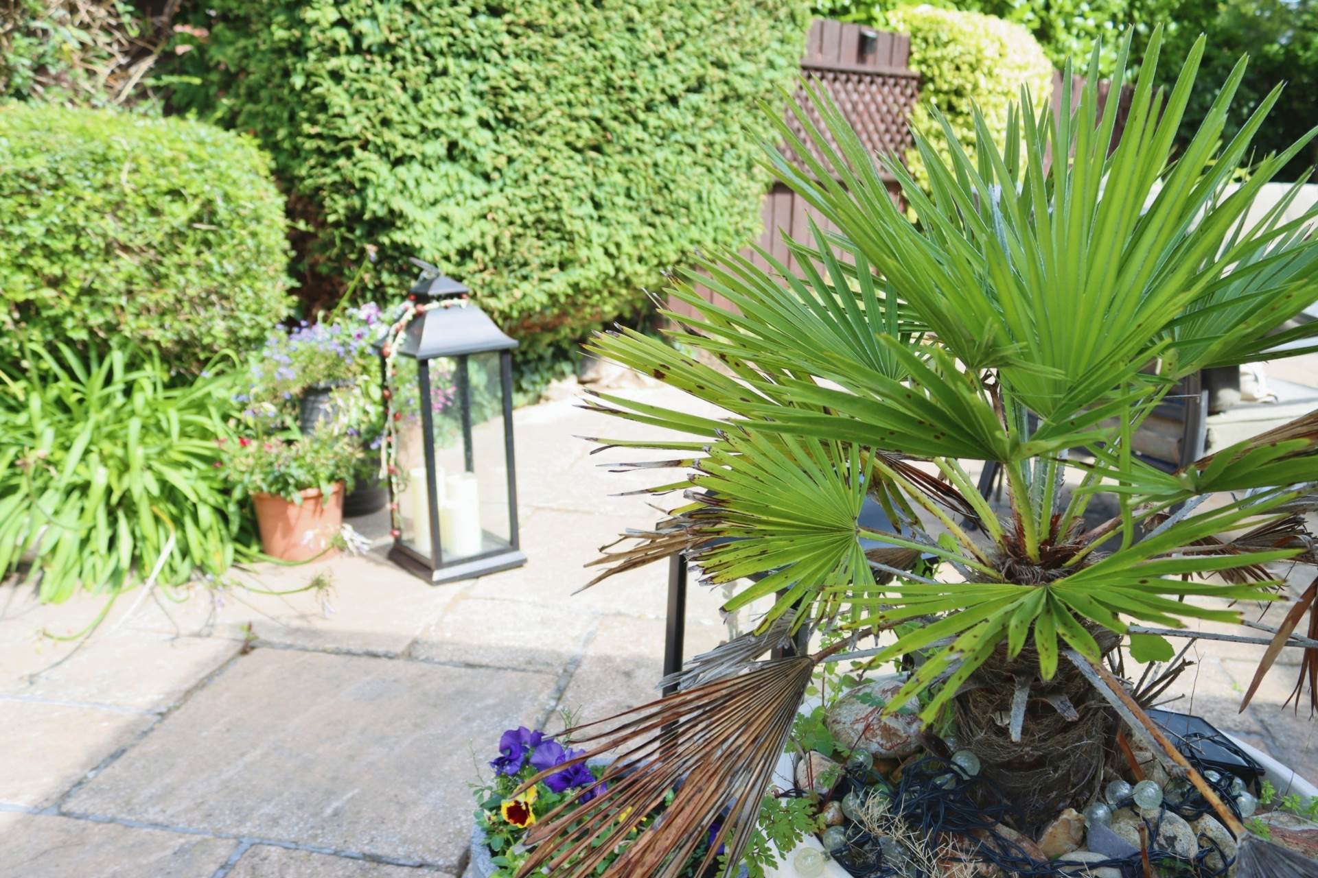 Additional Property Image 4 bedroom Detached for sale in Wirral 32