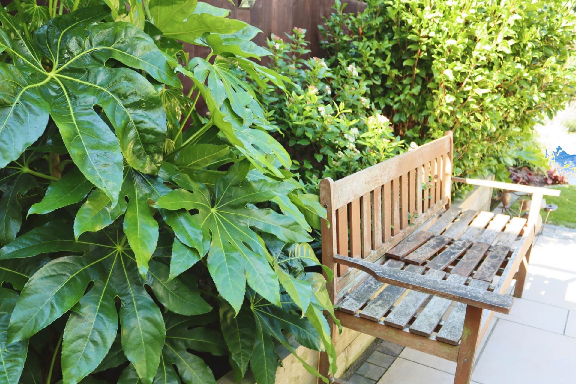 Additional Property Image 5 bedroom Semi Detached for sale in Wirral 34