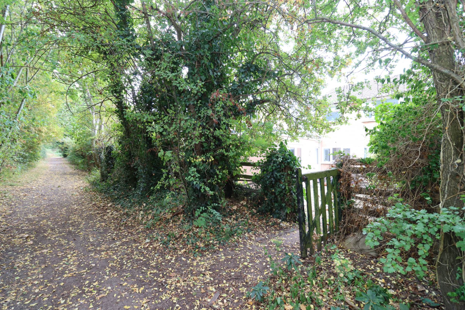Additional Property Image 4 bedroom Semi Detached for sale in Parkgate 29