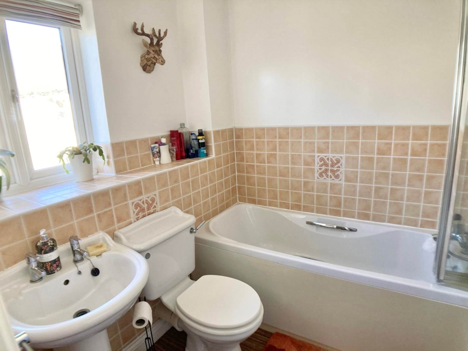 Additional Property Image 3 bedroom Detached for sale in Newton Abbot 17