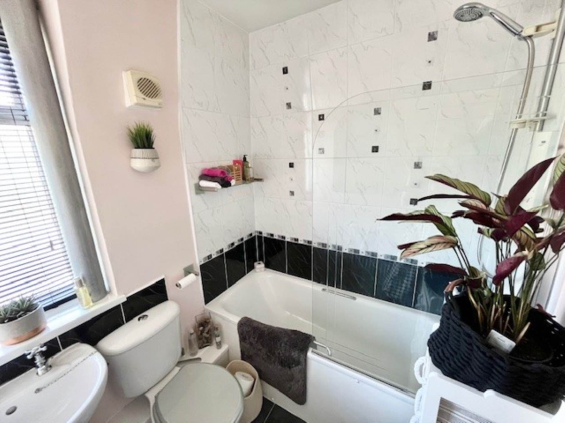 Additional Property Image 3 bedroom Semi Detached for sale in Newton Abbot 13