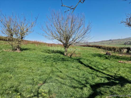 Additional Property Image 4 bedroom Detached to rent in Consett 13